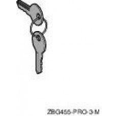 Ключ №455 с защитным колпачком ZBG455P