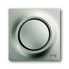 Клавиша для механизма 1-клавишного выключателя/переключателя/кнопки, с лампой подсветки и символом ключ, серия impuls, цвет шампань-металлик 1753-0-5317