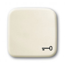 Клавиша для механизма 1-клавишного выключателя/переключателя/кнопки с символом ключ, серия busch-duro 2000 si, цвет слоновая кость 1731-0-0298