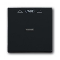Плата центральная (накладка) для механизма карточного выключателя 2025 u, серия solo/future, цвет антрацит/чёрный 1710-0-3639