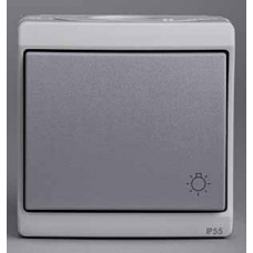 Выключатель кнопочный с символом свет, оп, серый, в сборе ip55 ENN35783