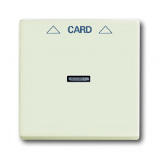 Плата центральная (накладка) для механизма карточного выключателя 2025 u, серия solo/future, цвет chalet-white 1710-0-3979
