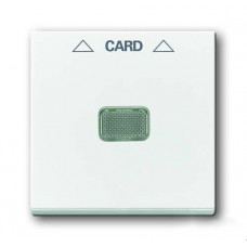 Накладка (центральная плата) для механизма карточного выключателя 2025 u альпийский белый basic 55 1710-0-3864