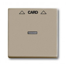 Плата центральная (накладка) для механизма карточного выключателя 2025 u шампань basic 55 1710-0-3929