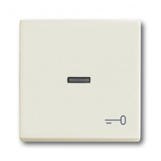 Клавиша для механизма 1-клавишного выключателя/переключателя/кнопки, с прозрачной линзой и символом ключ, серия solo/future, цвет chalet-white 1751-0-3072