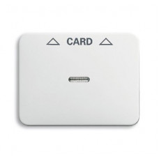 Плата центральная (накладка) для механизма карточного выключателя 2025 u, серия alpha nea, цвет белый матовый 1710-0-3296