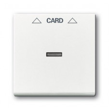 Плата центральная (накладка) для механизма карточного выключателя 2025 u, серия solo/future, цвет davos/альпийский белый 1710-0-3641
