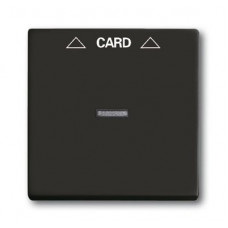 Плата центральная (накладка) для механизма карточного выключателя 2025 u chateau-black basic 55 1710-0-3933