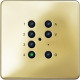 7-кнопочный модуль 125201, полированная латунь световые технологии
